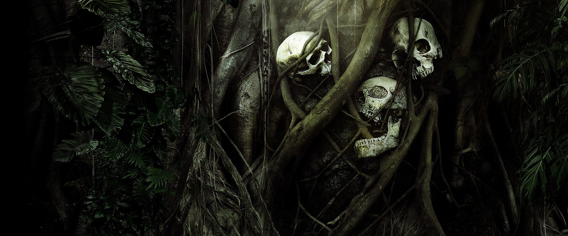 Secrets in the Jungle