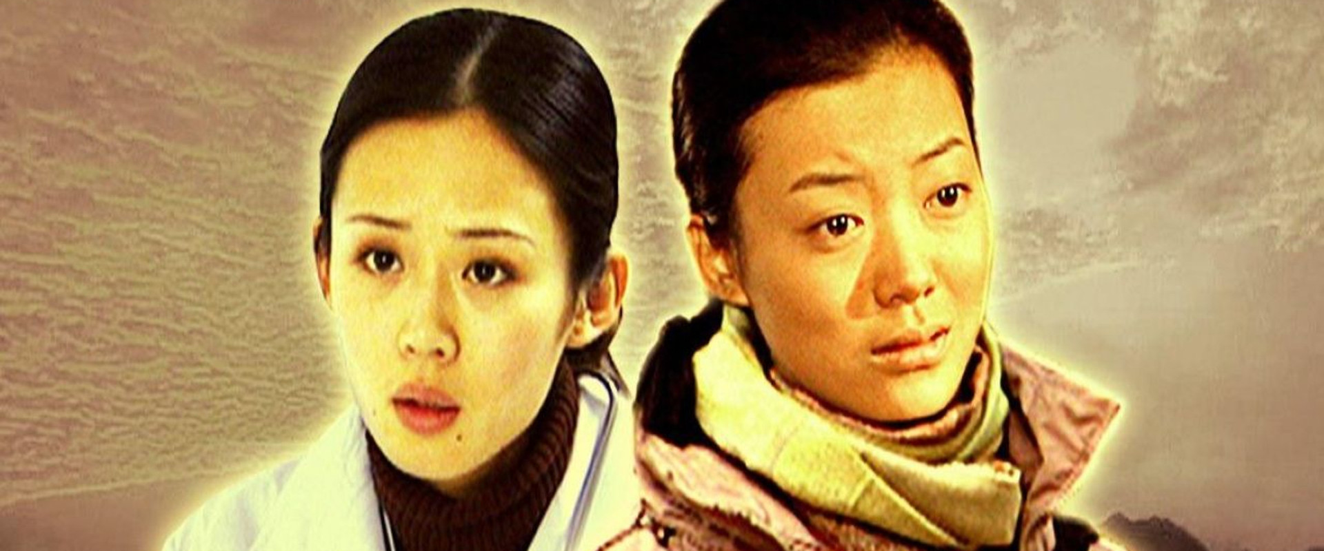 城市的谎言's banner image
