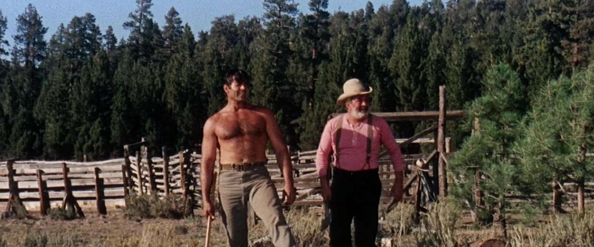 The Night of the Grizzly