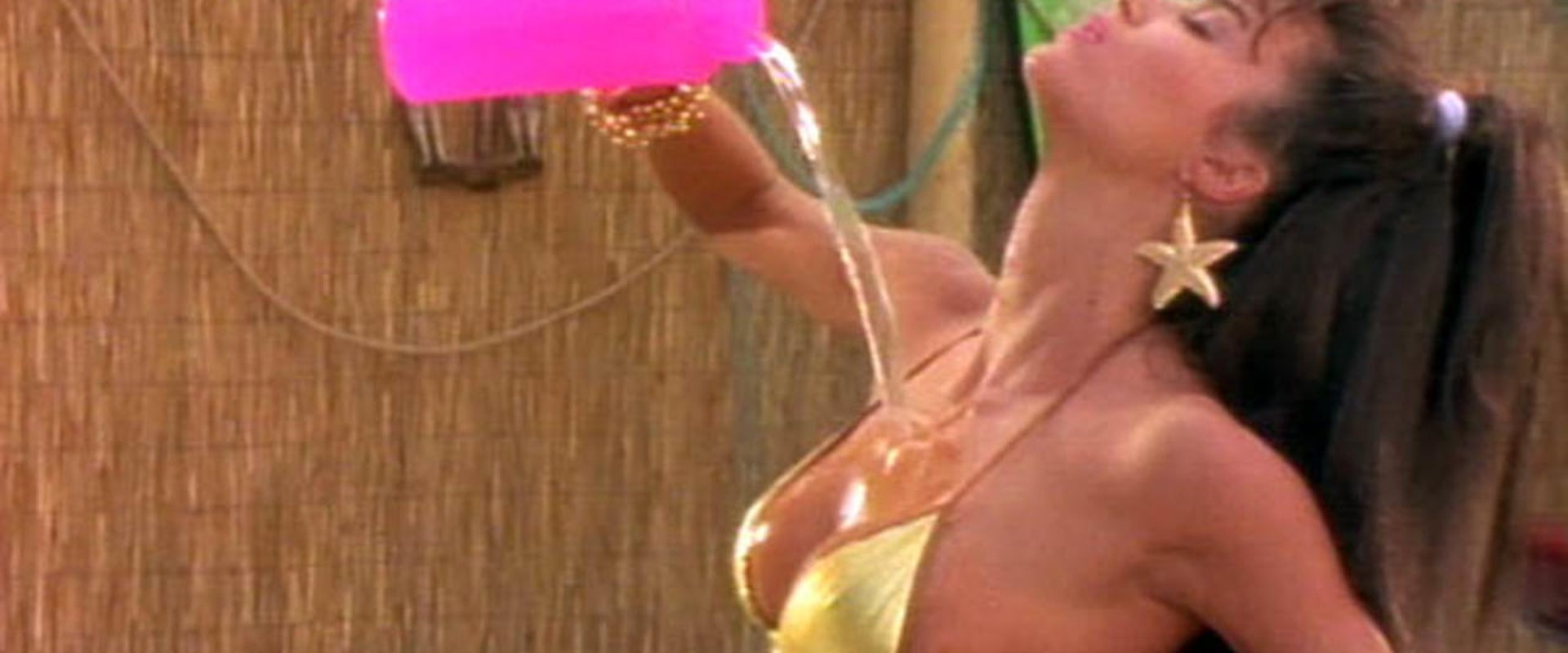 The Bikini Carwash Company