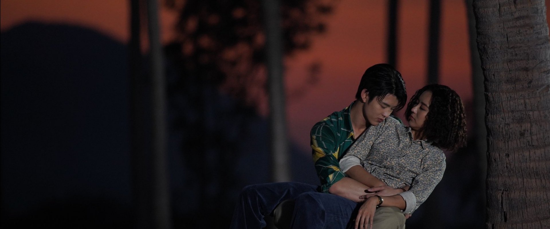 My Love in the Countryside