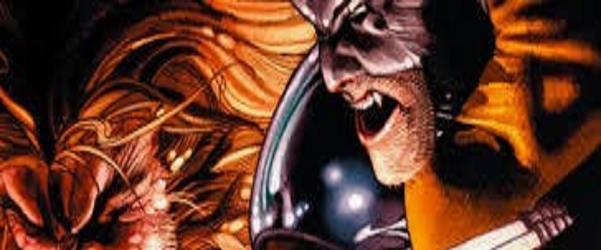 Wolverine Versus Sabretooth: Reborn