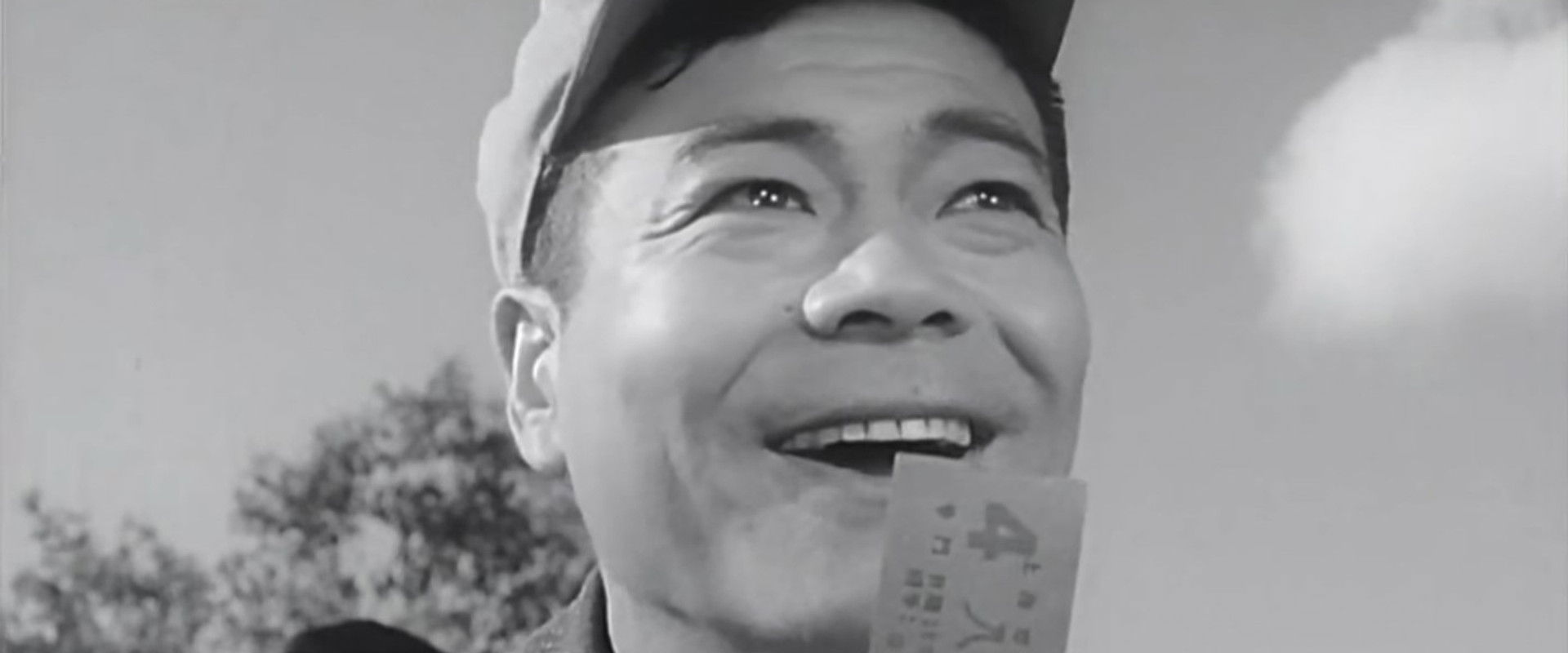 球迷's banner image