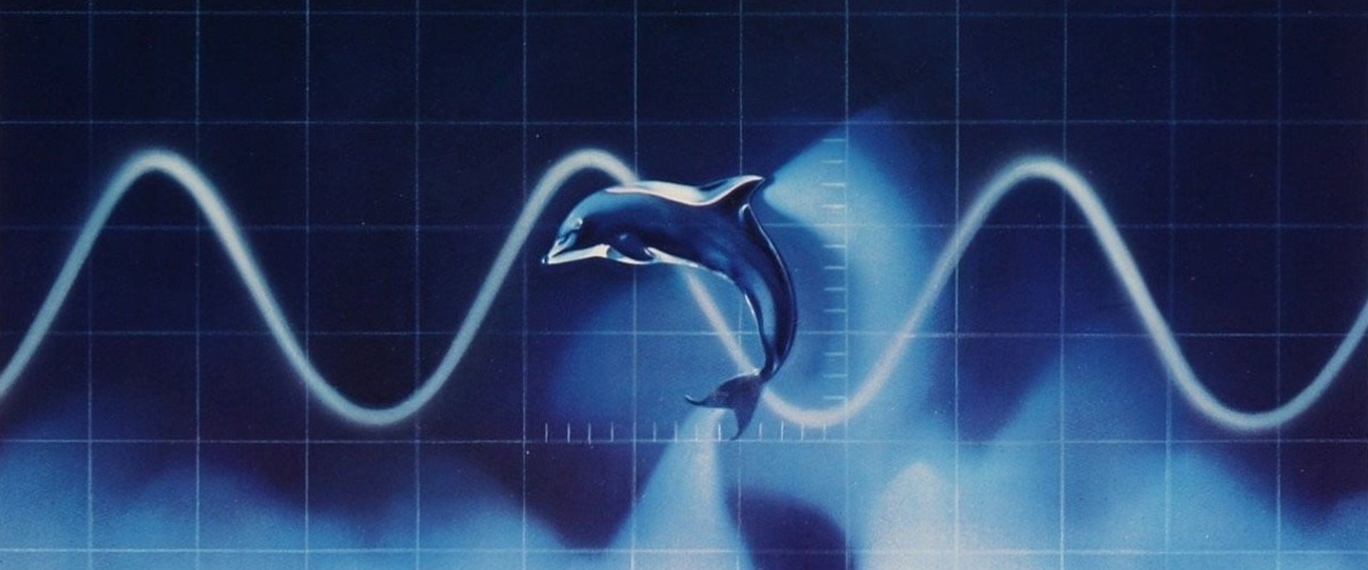 The Day of the Dolphin