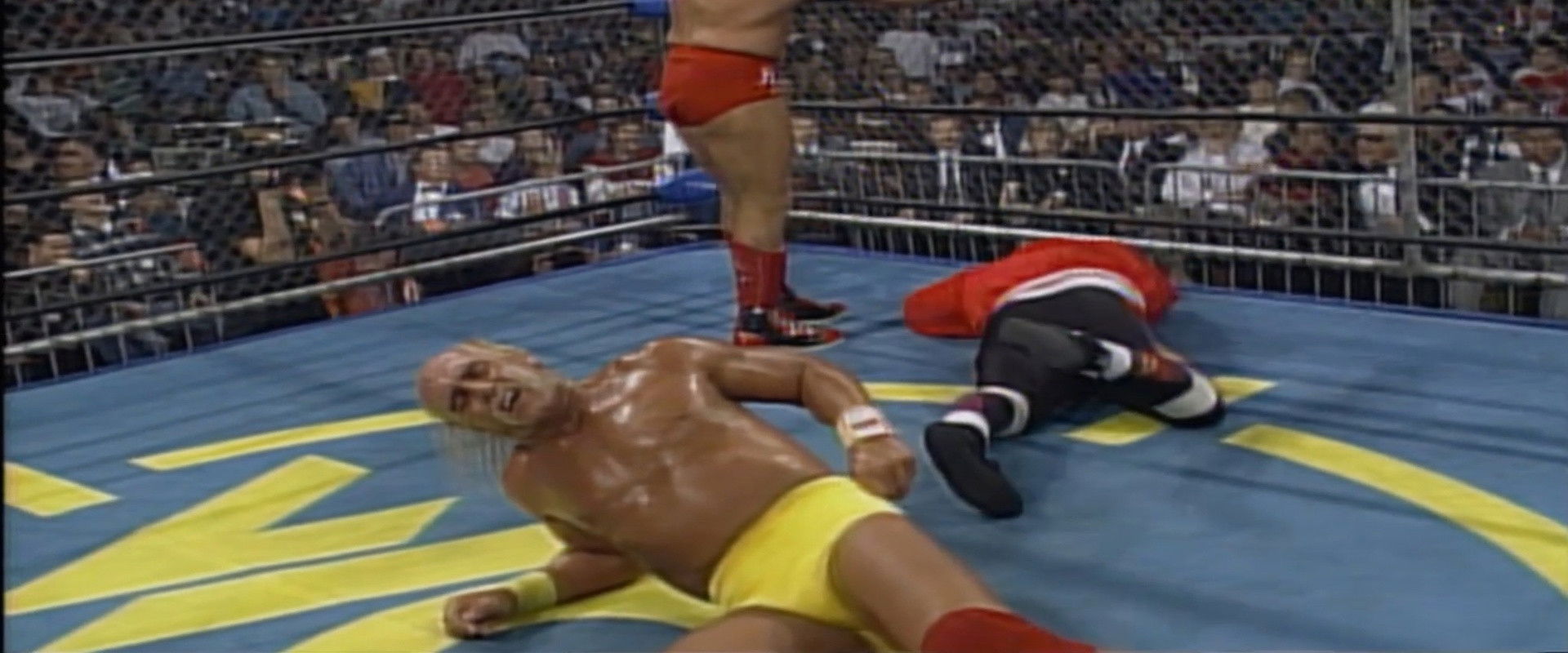 WCW All Nighter 1995's banner image