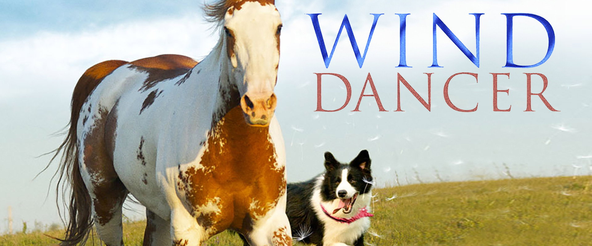 Wind Dancer's banner image