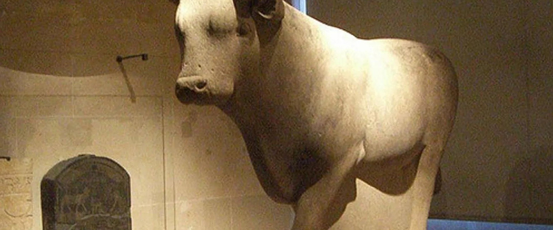 Egypt: The Treasure Of The Sacred Bulls