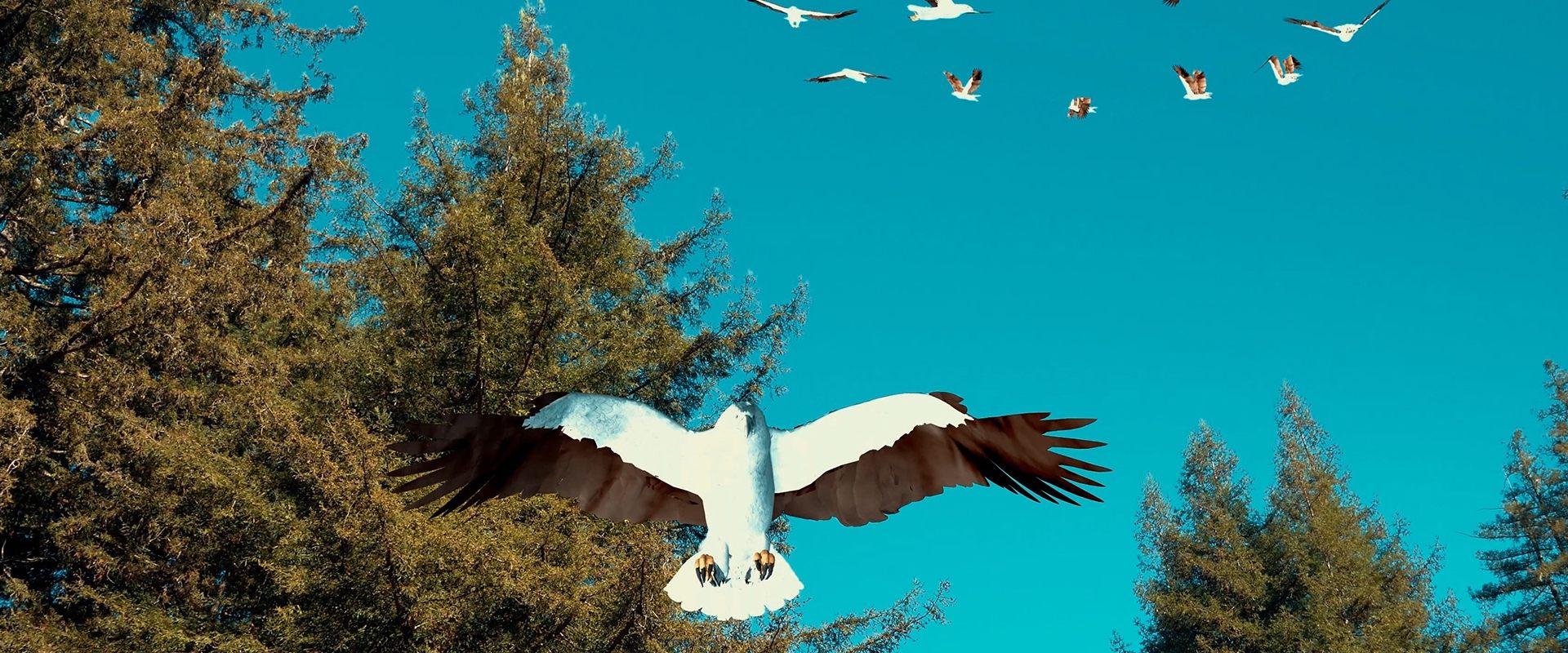 Birdemic 3: Sea Eagle