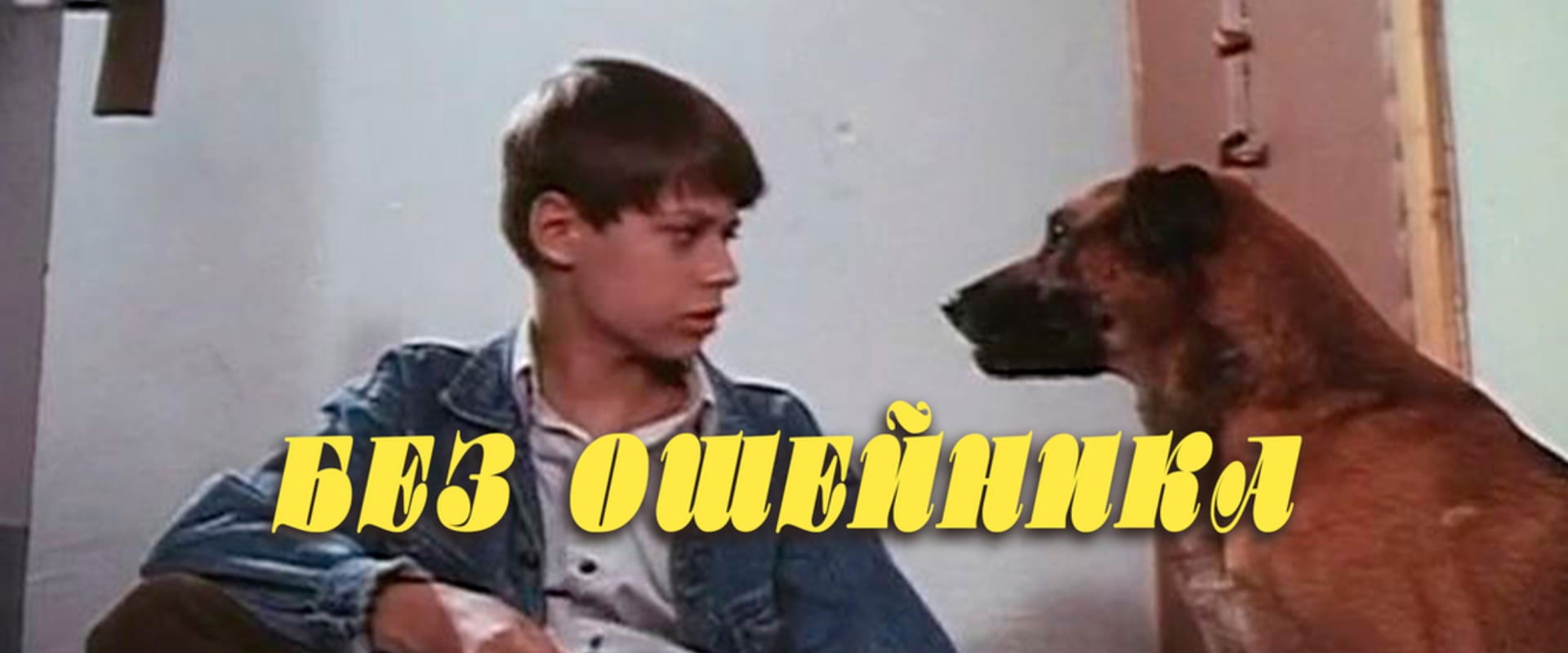 Without a Collar's banner image