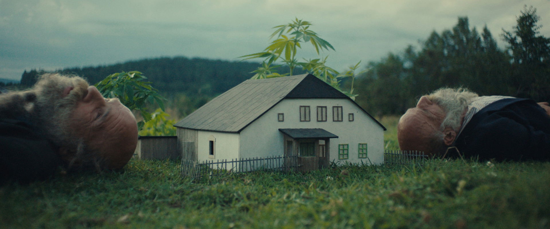 Better Go Mad in the Wild's banner image