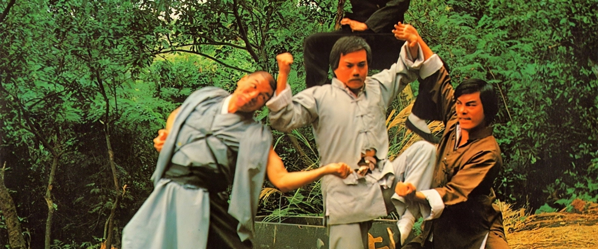 Shaolin Iron Finger's banner image