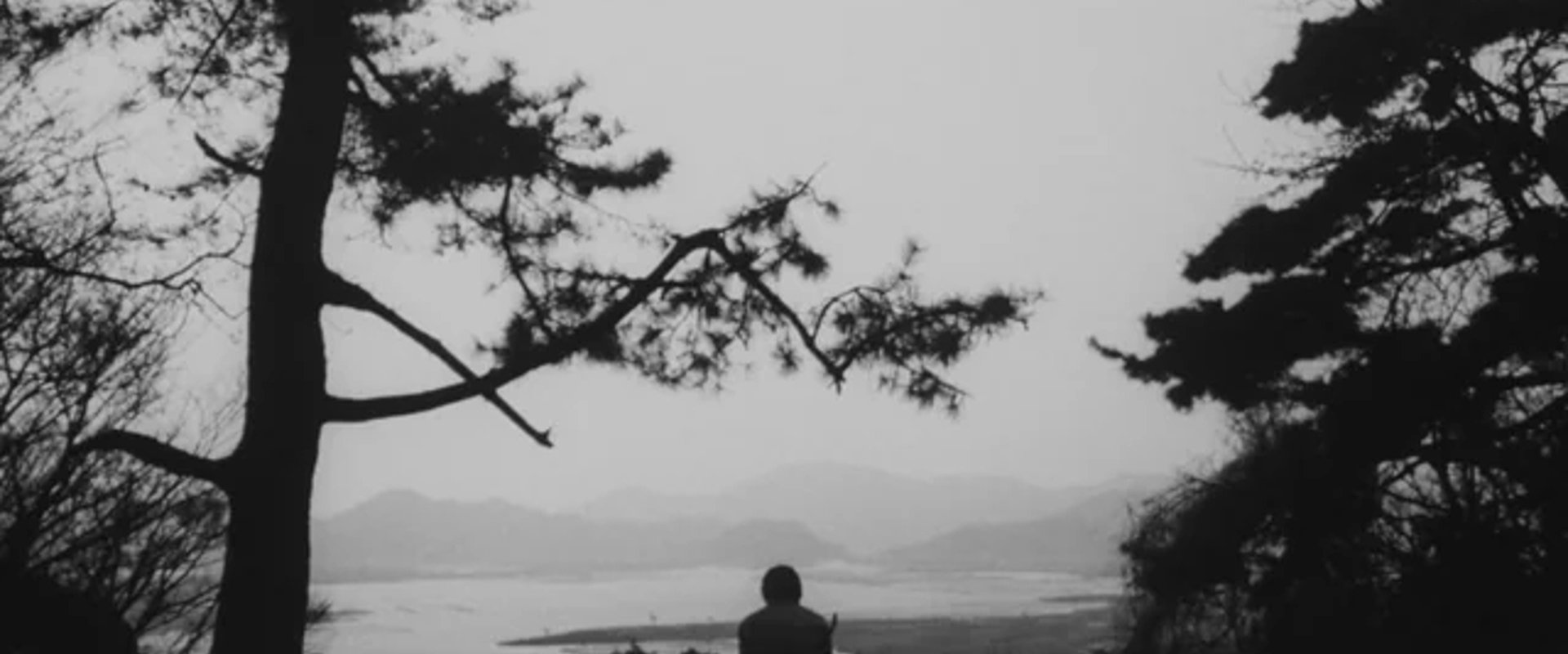 This Transient Life