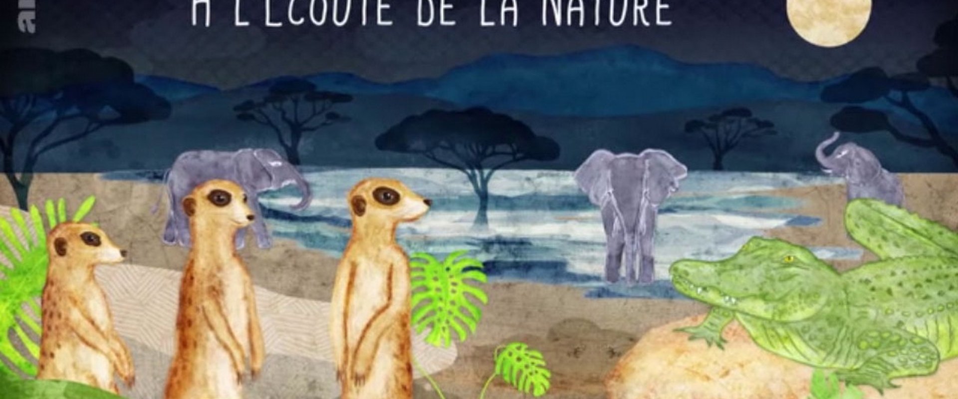 À l’écoute de la nature