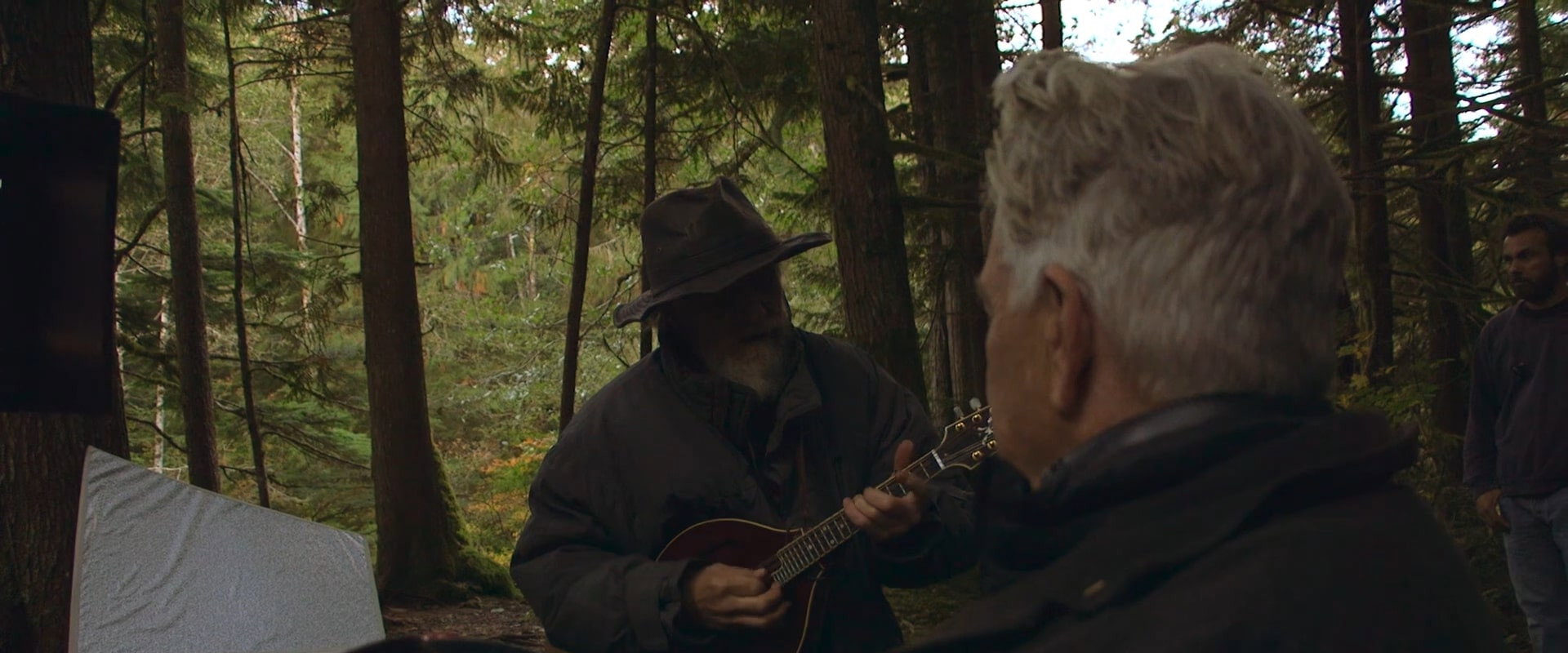 The Man with the Gray Elevated Hair