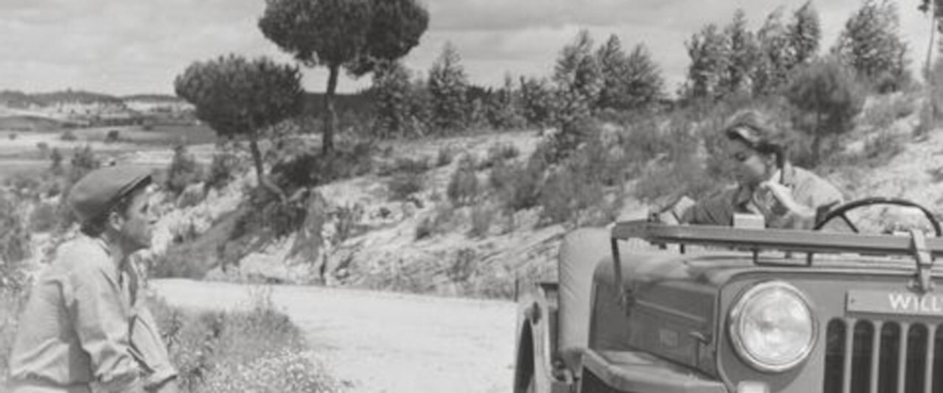 Magic Fountain's banner image