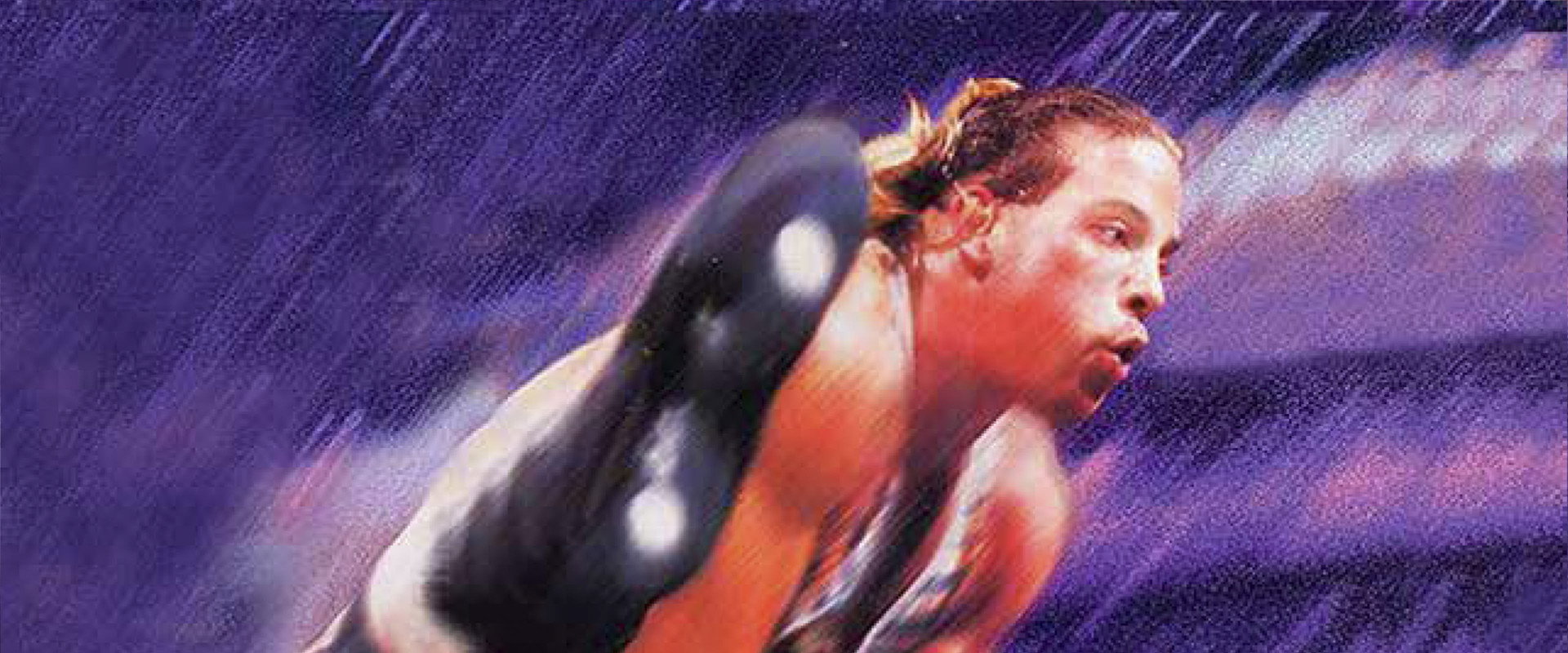 WWE Survivor Series 2002's banner image