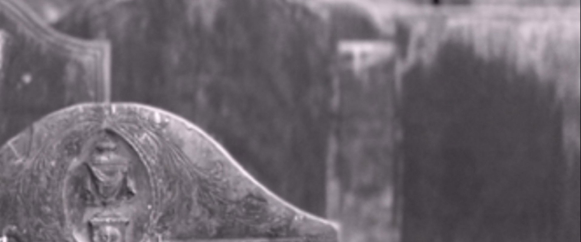 Eternity's Void's banner image