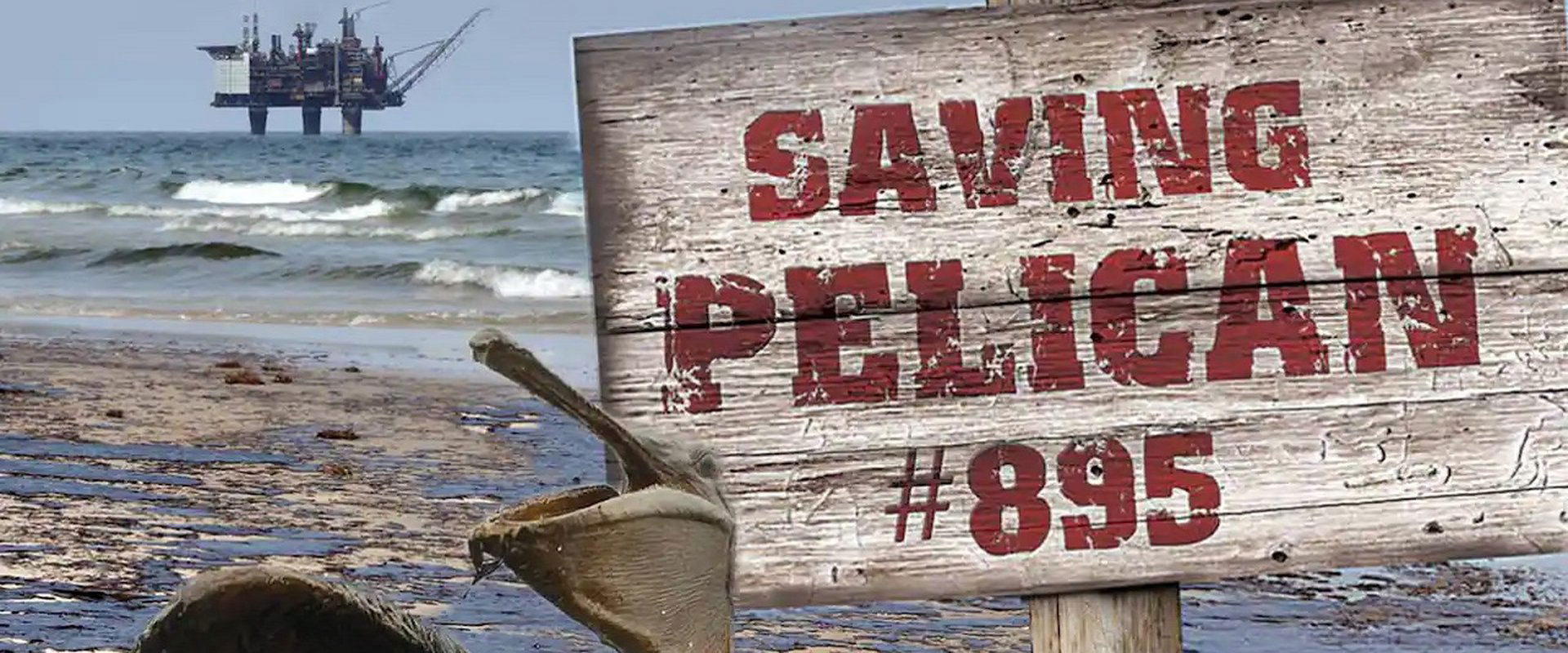 Saving Pelican 895