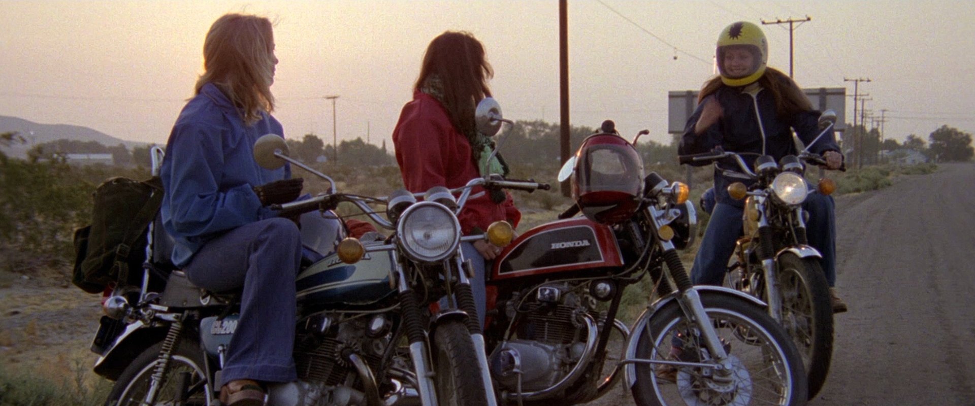Cycle Vixens