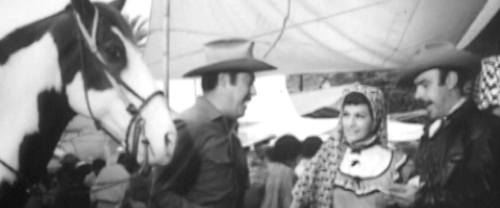 Un par de sinvergüenzas's banner image