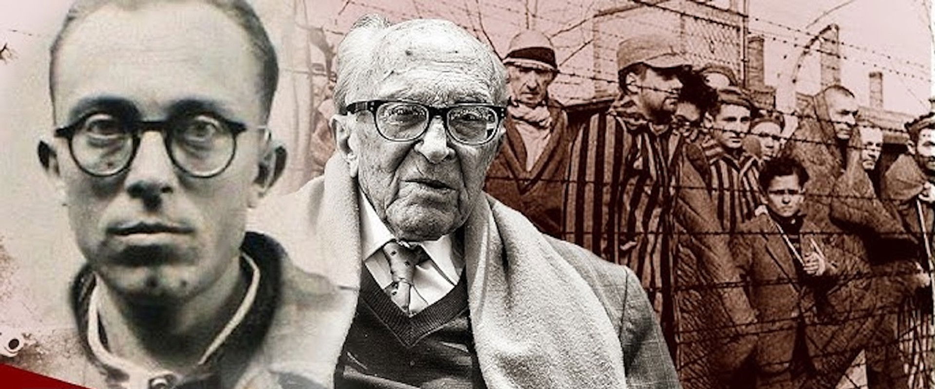 Branko: Return to Auschwitz's banner image