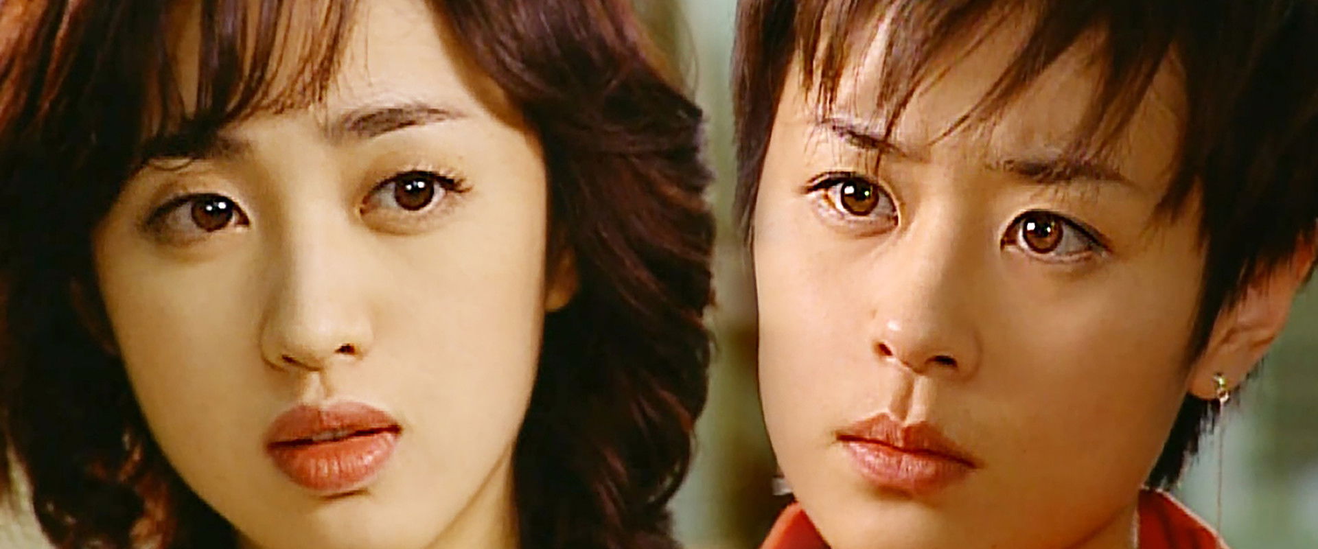 Land of Wine's banner image