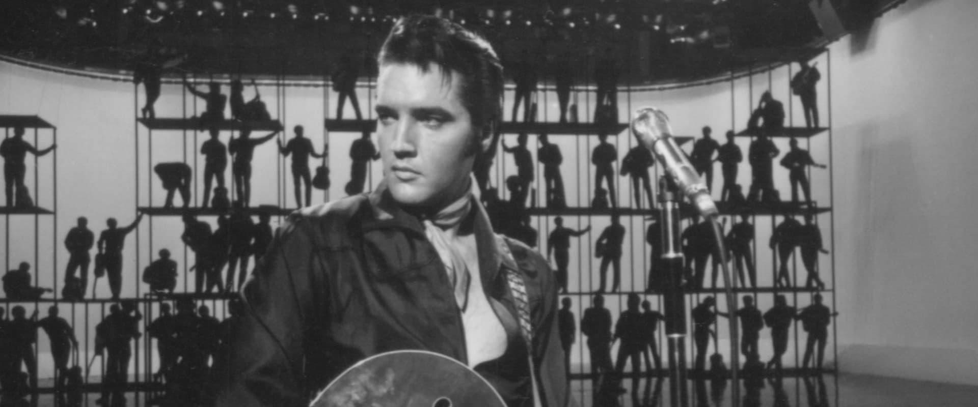 Elvis Presley: The Searcher