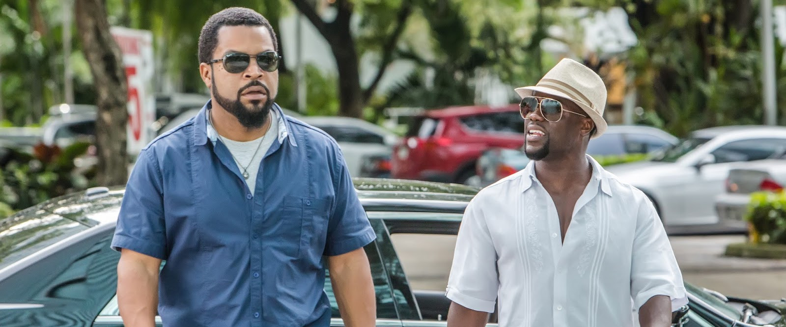 Infiltrados en Miami