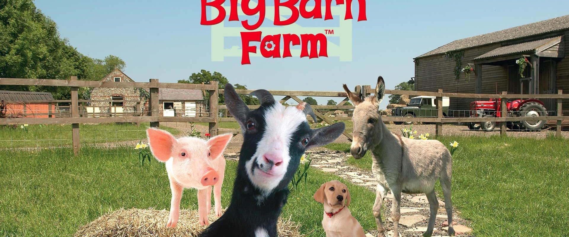 Big Barn Farm