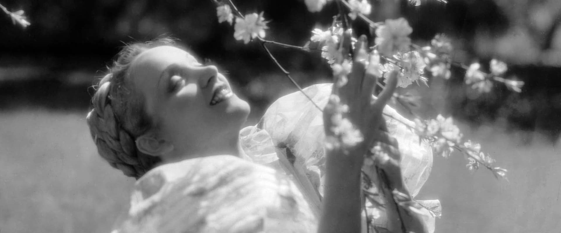 The Song of Songs