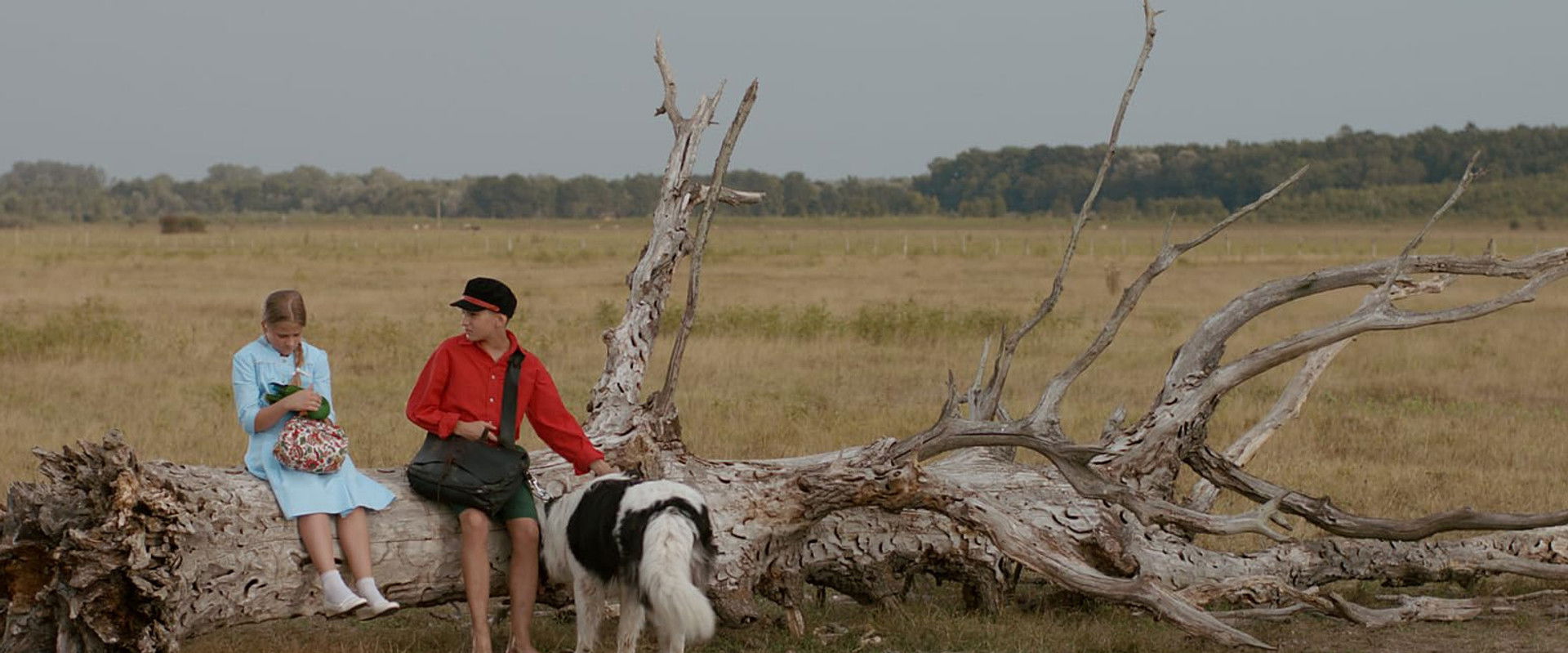 The Brave Adventures of a Little Shoemaker's banner image