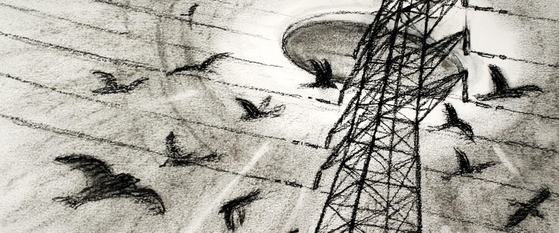 Westall 66: A Suburban UFO Mystery