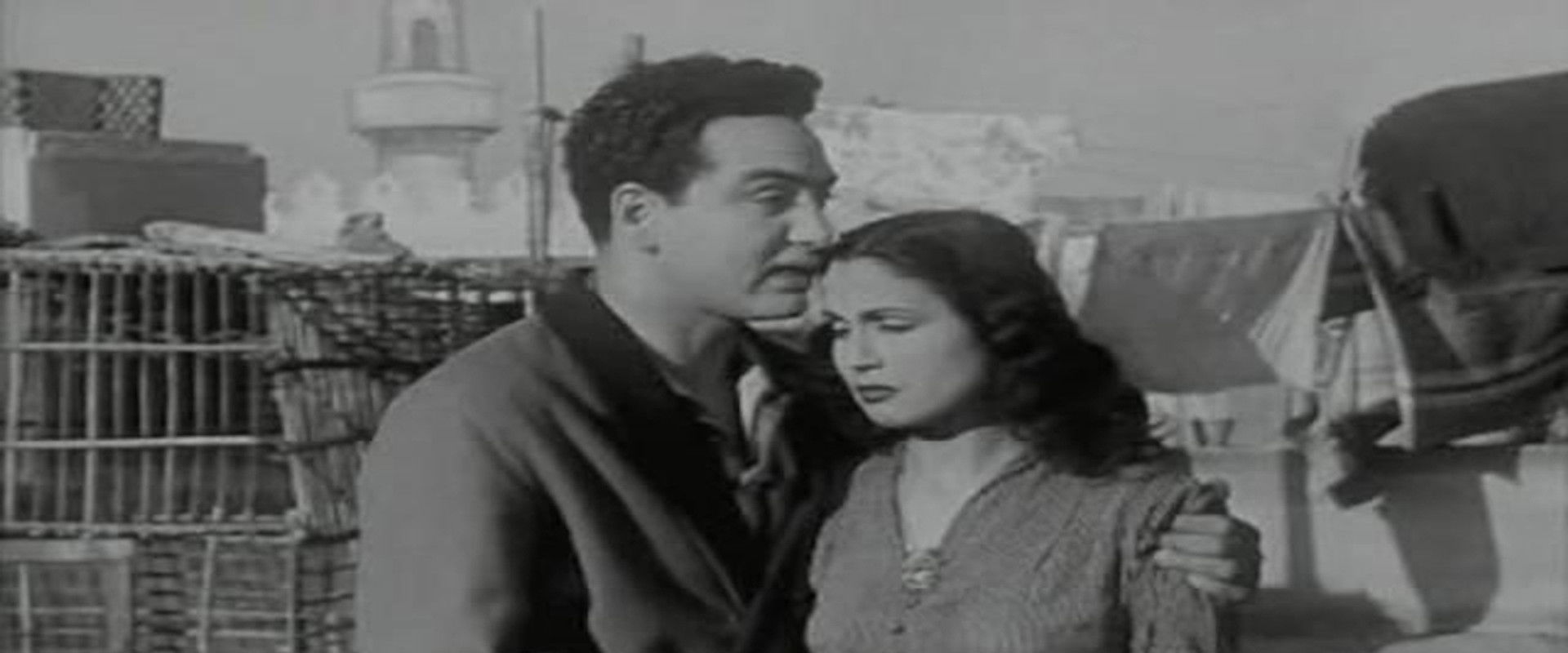 Narges's banner image