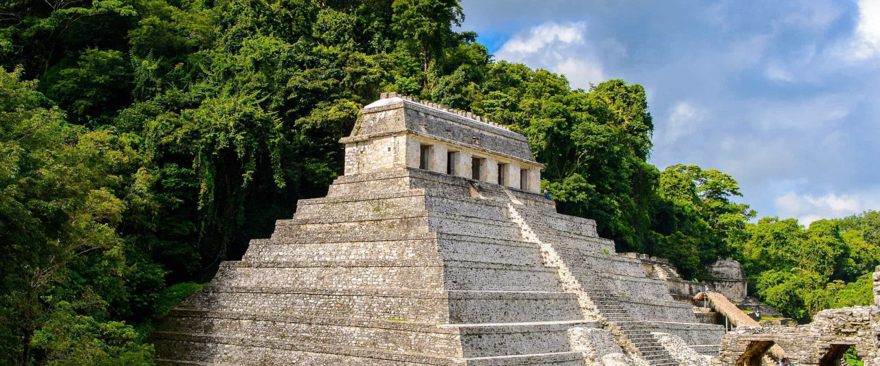 A la recherche des tombes royales mayas