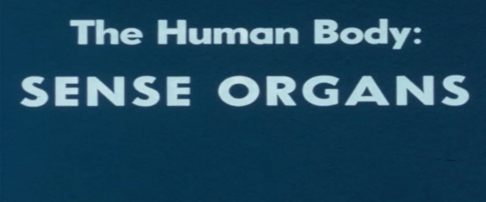 The Human Body: Sense Organs