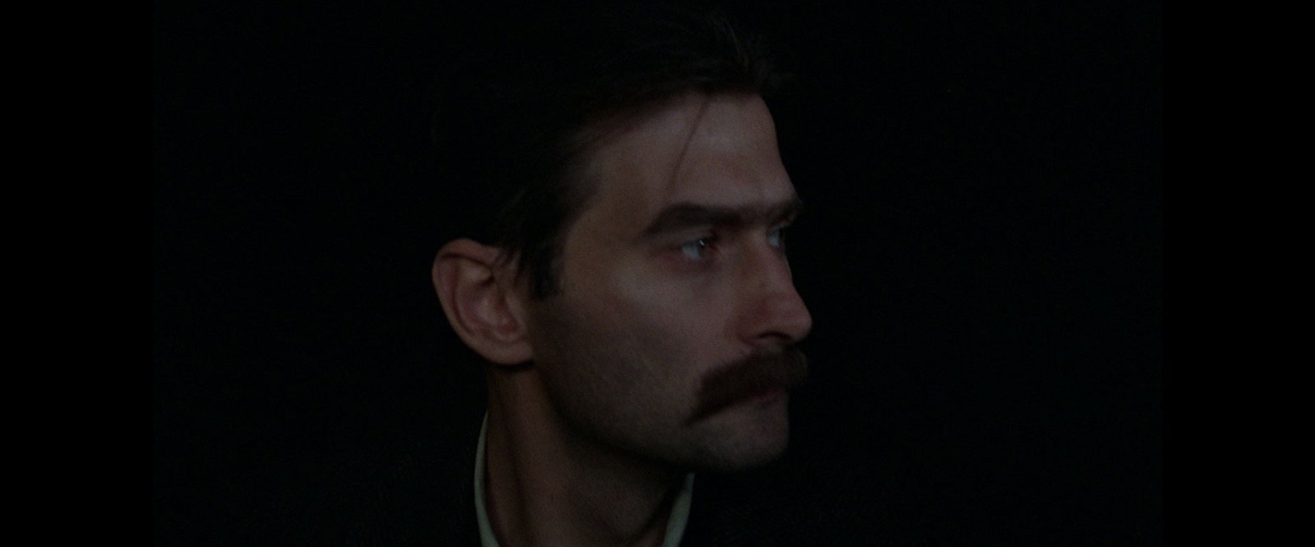 Fever's banner image