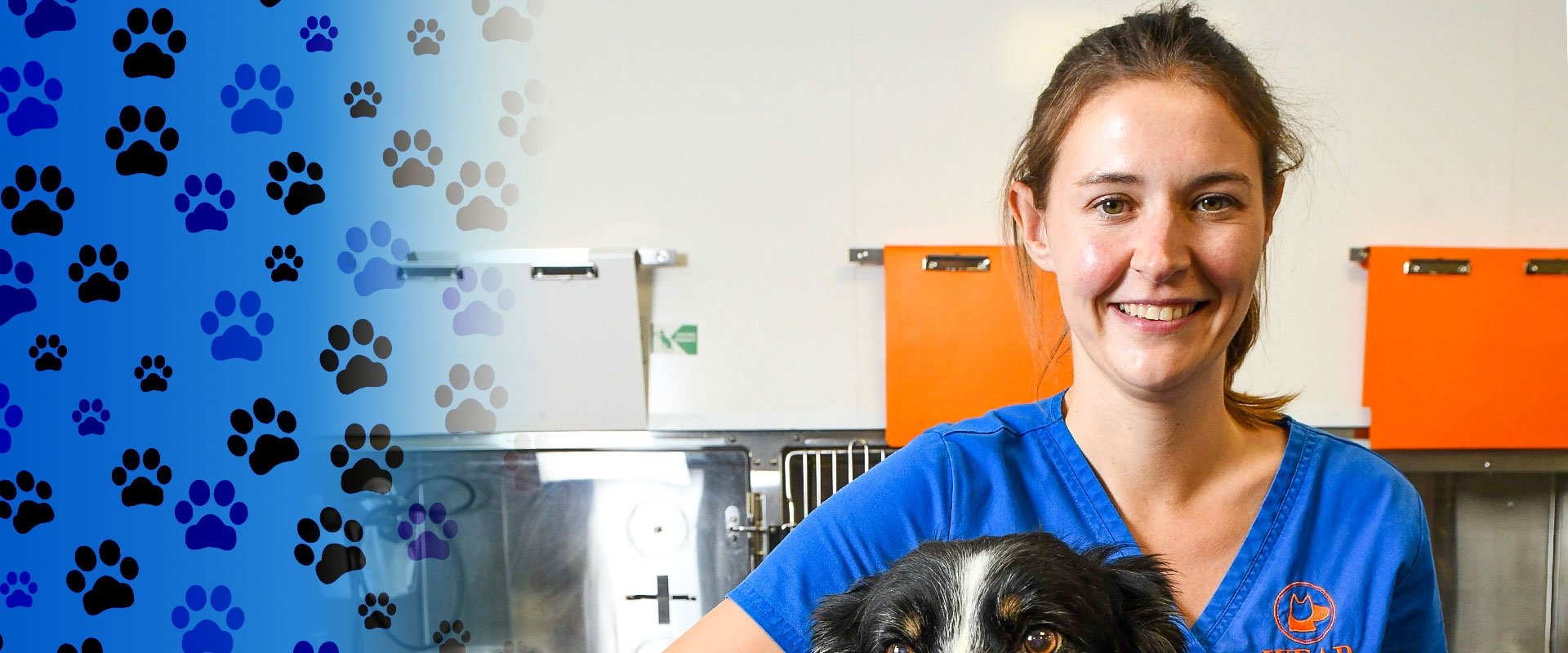 24/7 Pet Hospital