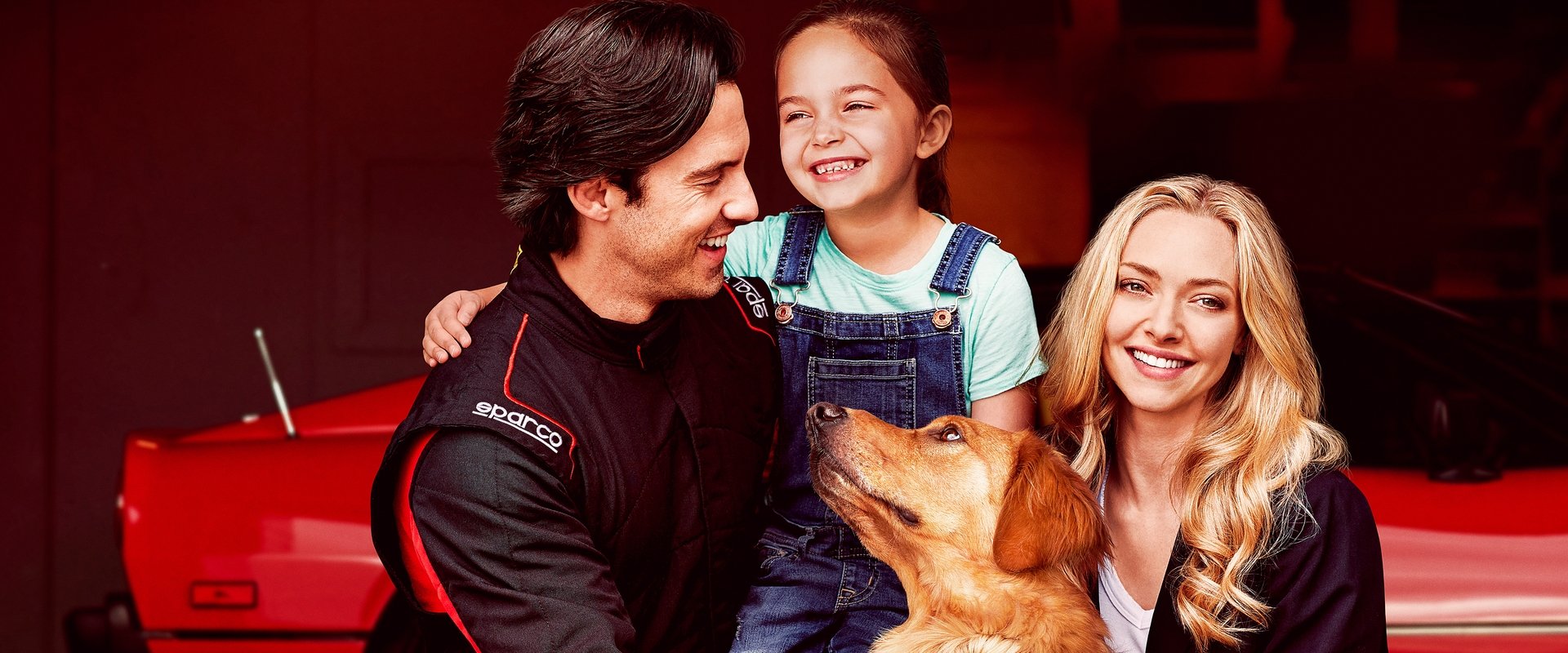 Enzo: Yağmurda Yarış Sanatı filmi için arka plan görseli