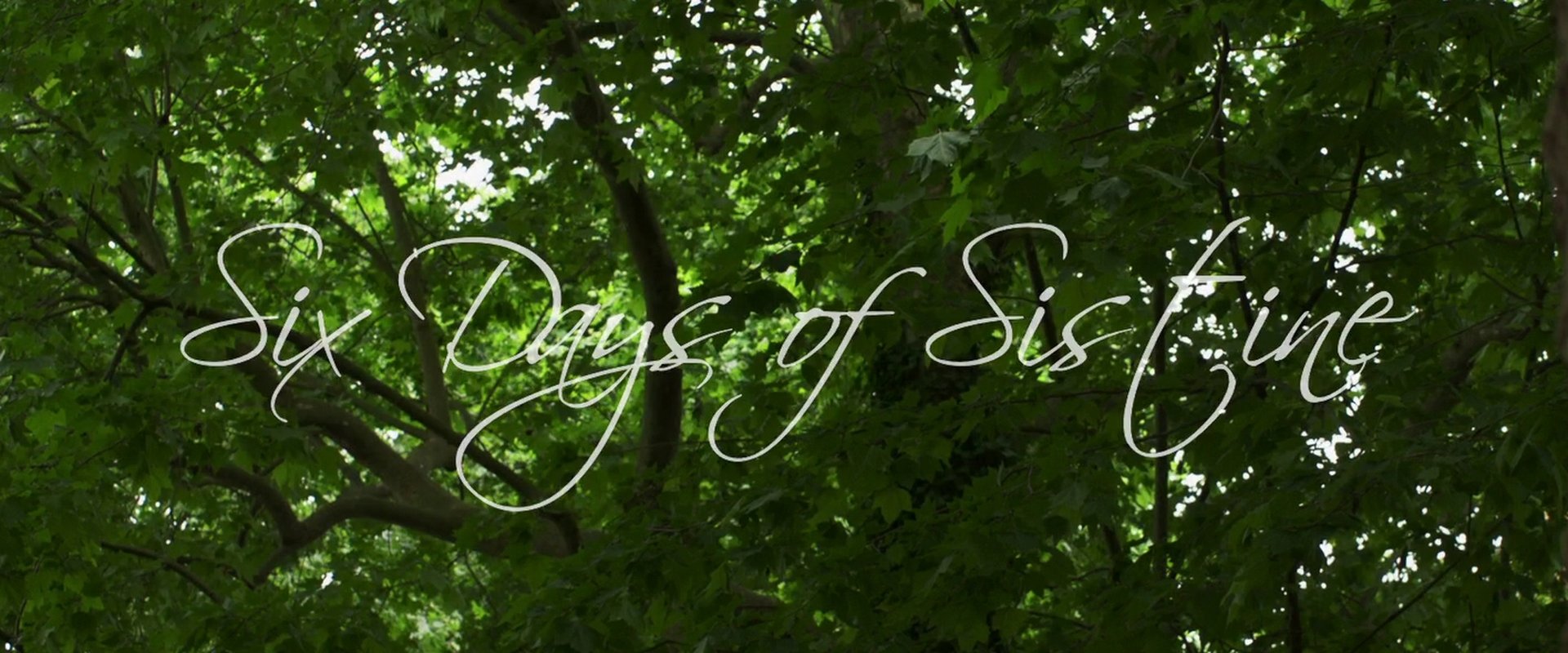 Six Days of Sistine