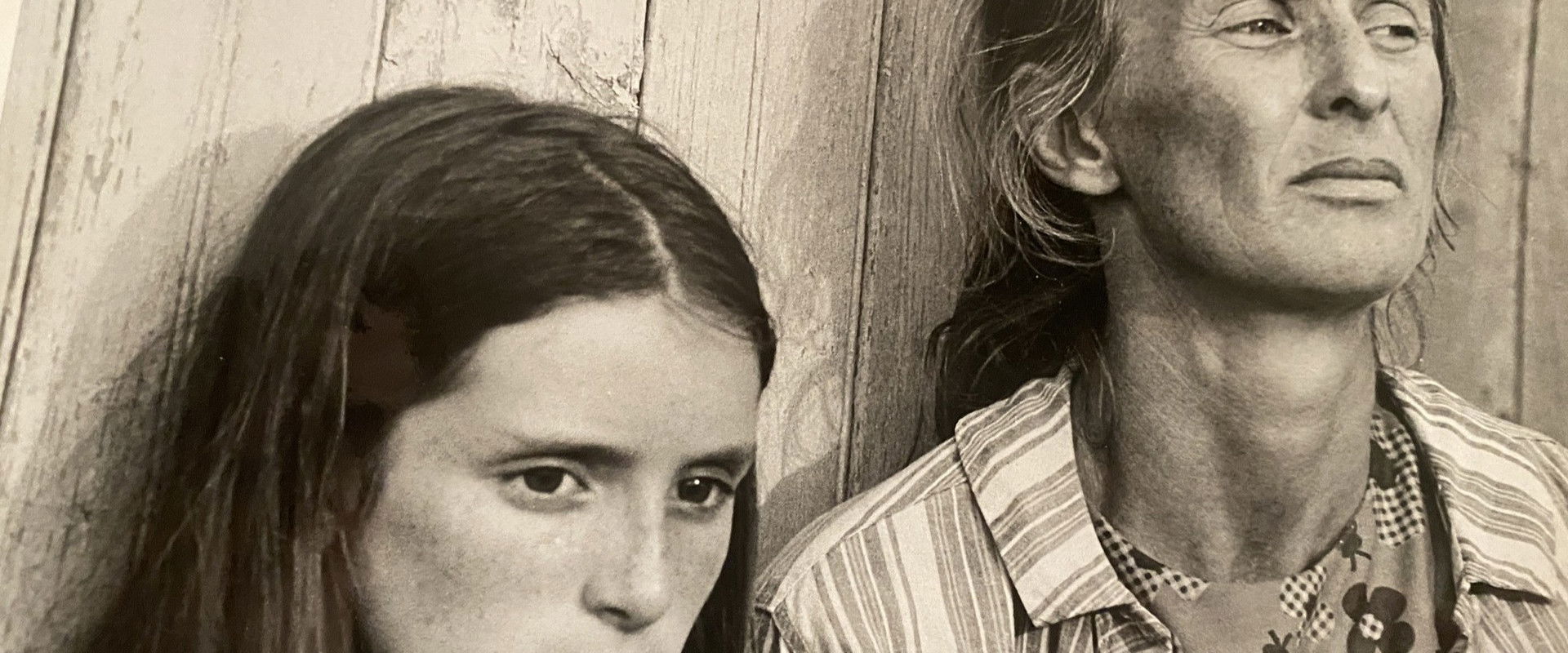 The Migrants's banner image