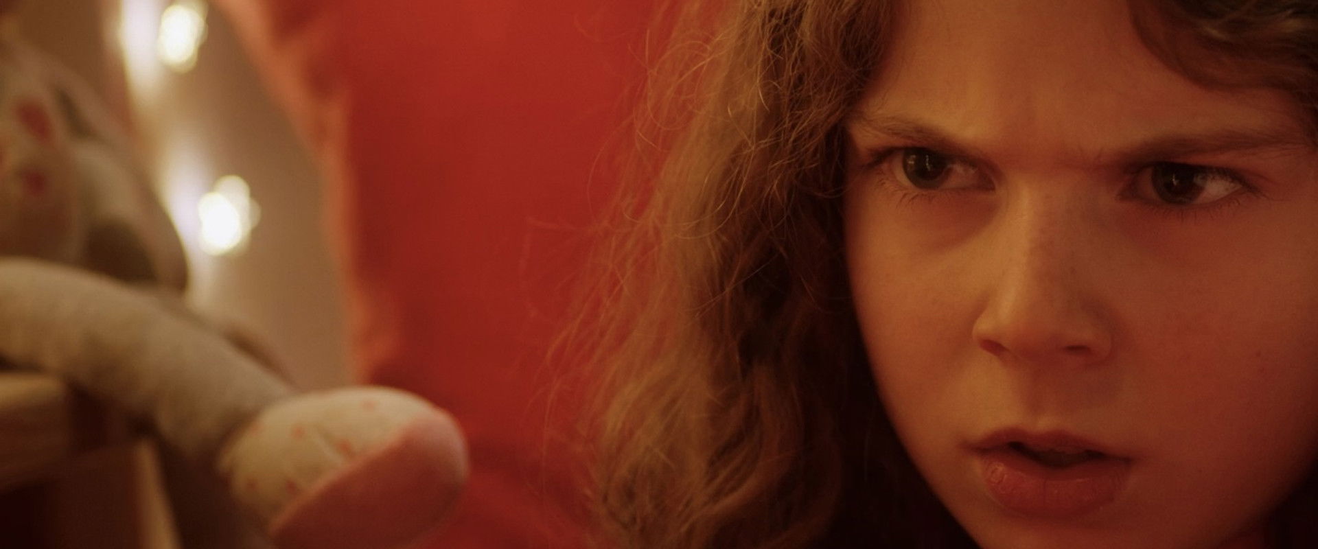 Conte sauvage's banner image