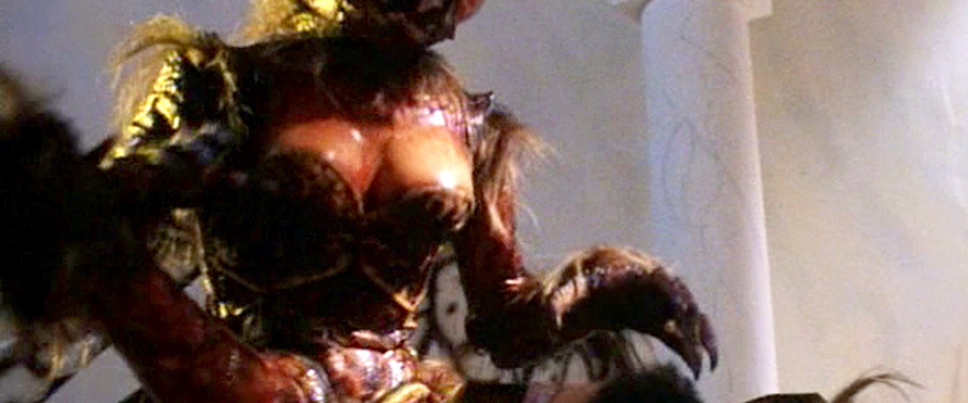 The Wasp Woman