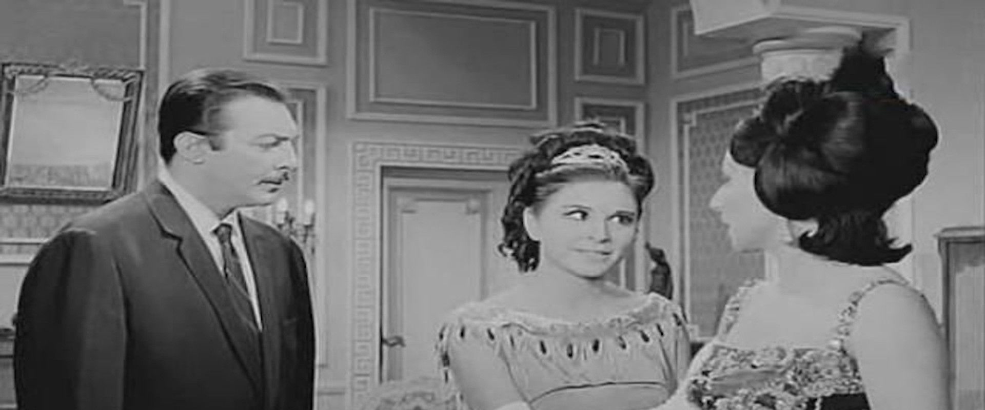 His Excellency, The Ambassador's banner image