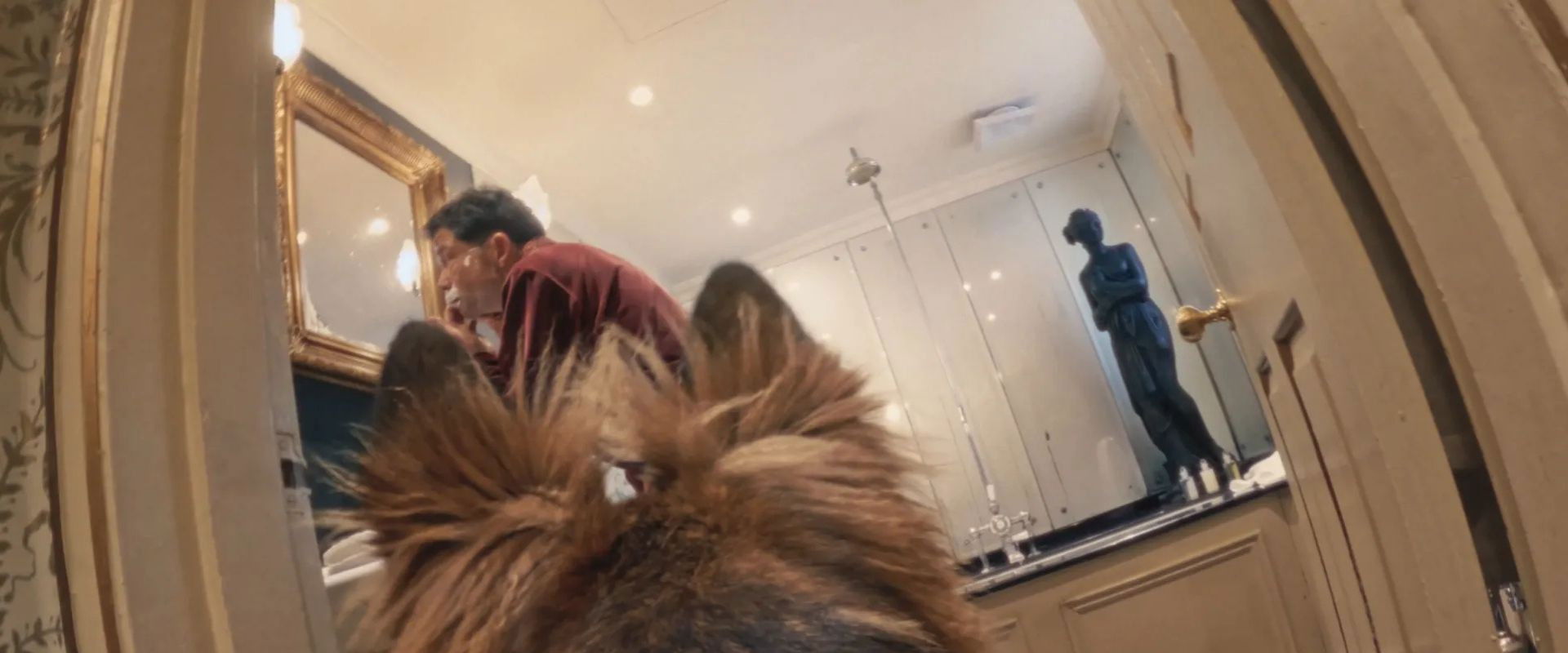 Blondi's banner image