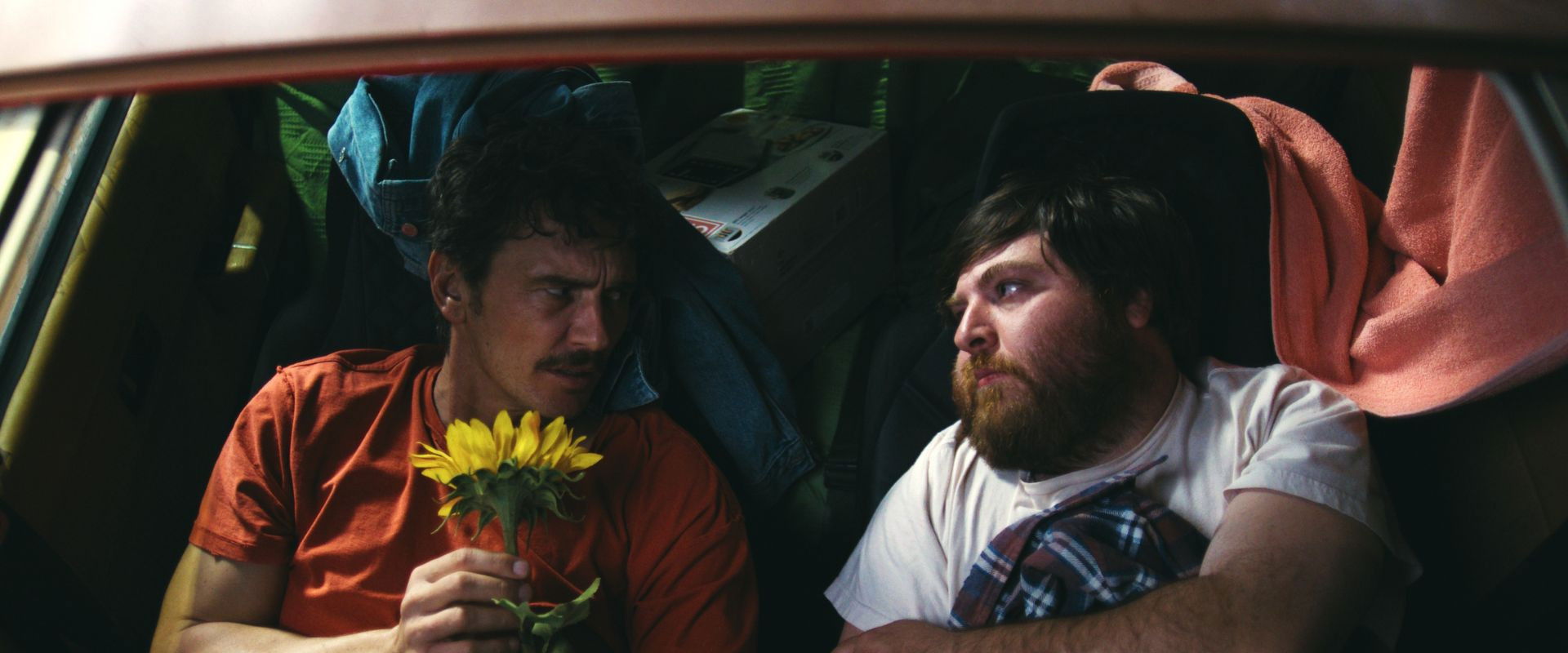 Love Meets in the Sunshine's banner image