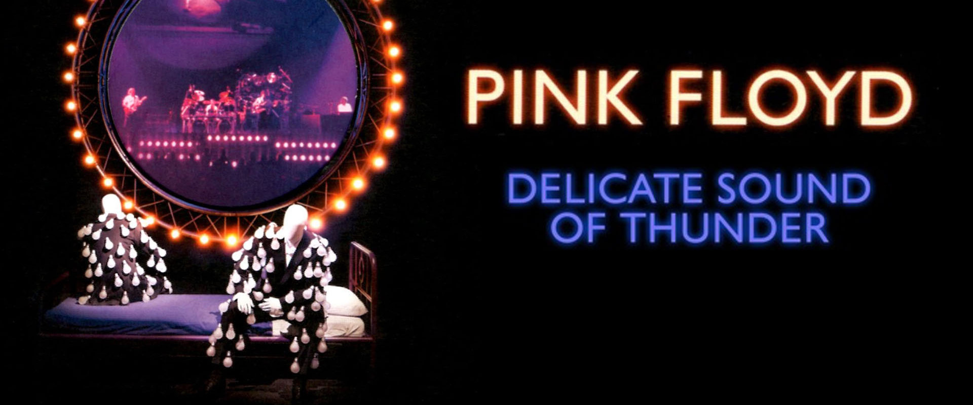 Pink Floyd: The Later Years, Vol 2 - Delicate Sound of Thunder's banner image