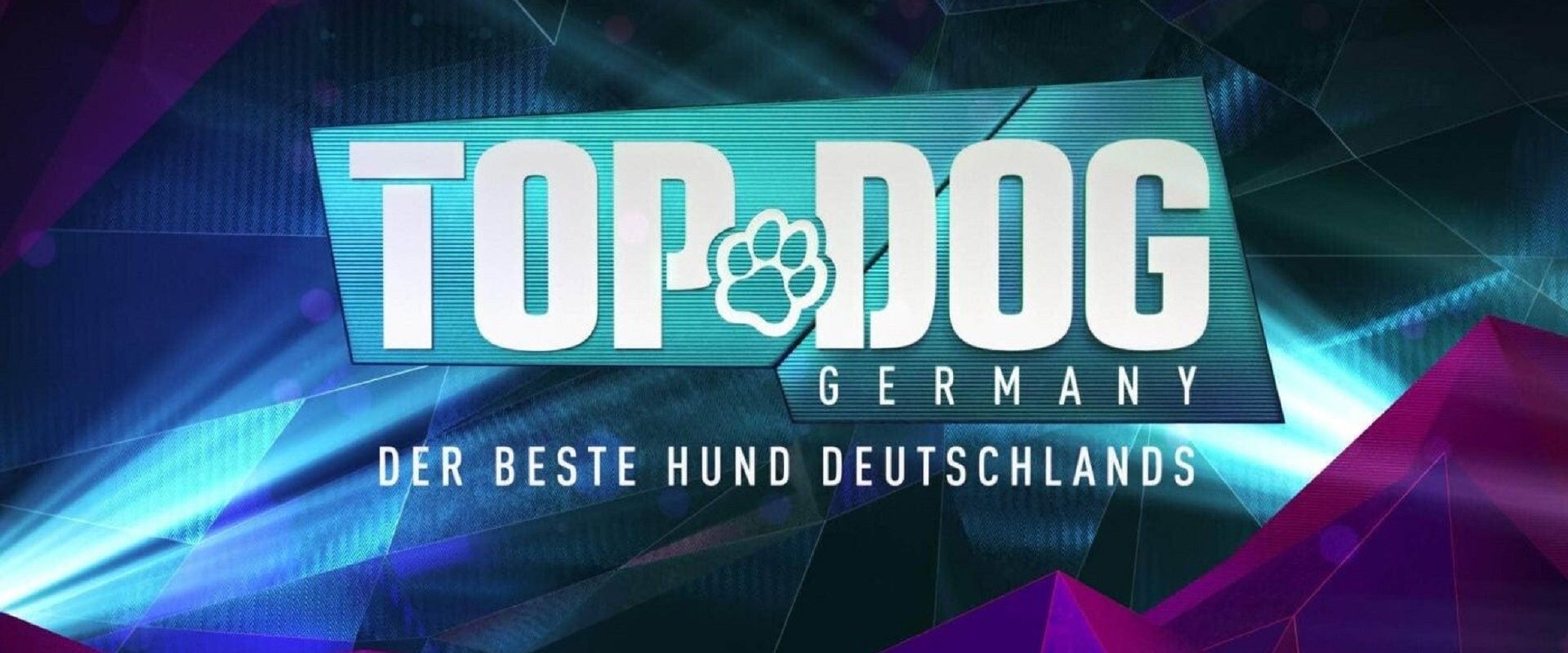 Top Dog Germany – Der beste Hund Deutschlands