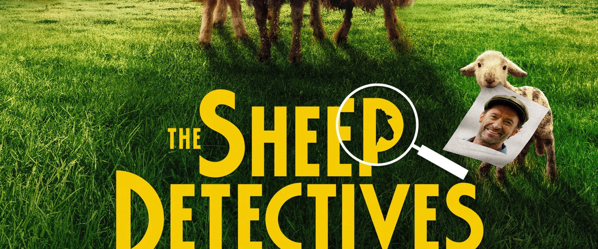The Sheep Detectives