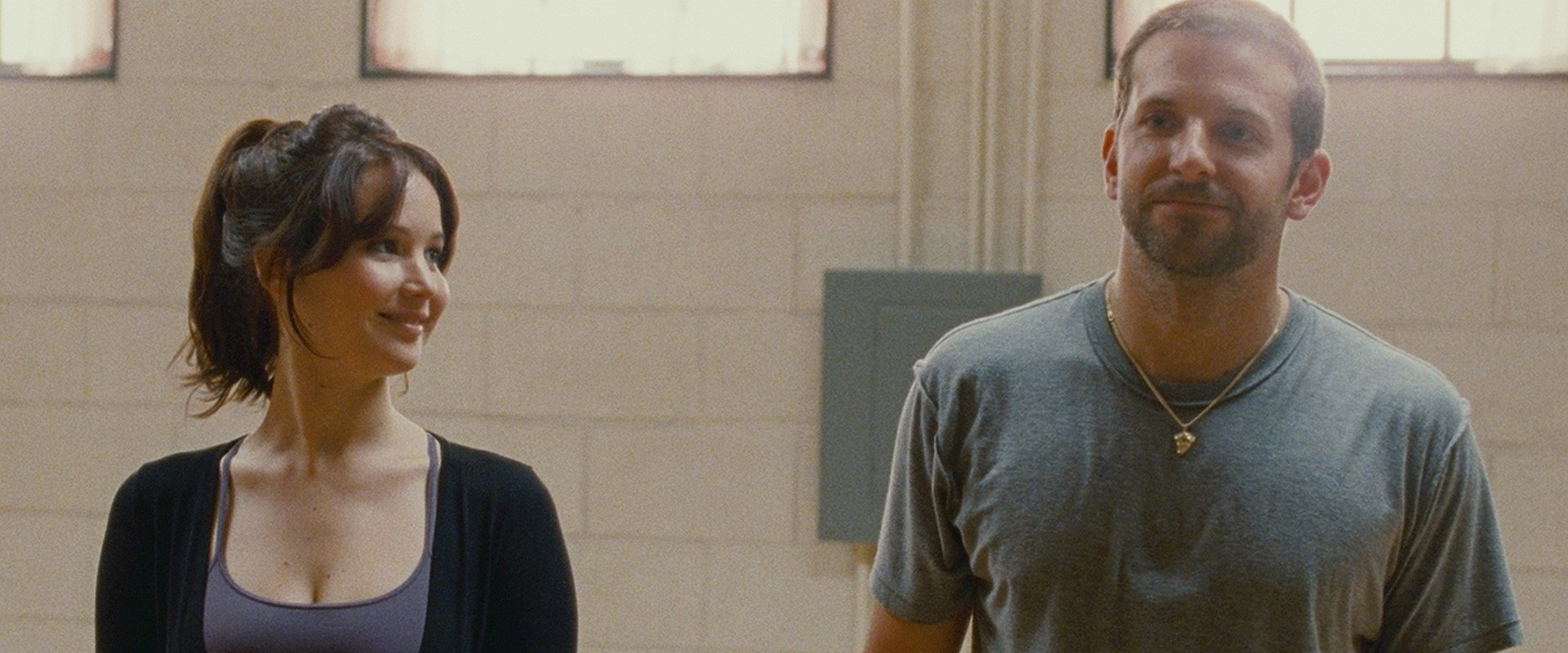 Silver Linings Playbook's banner image