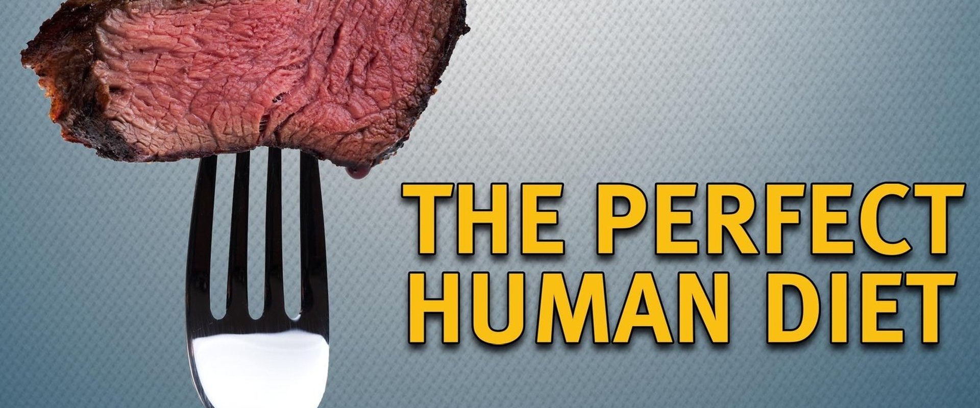 The Perfect Human Diet